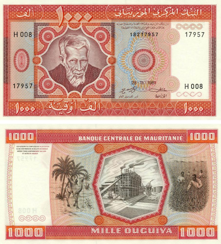 фото Мавритания 1000 угий 1981 UNC Верблюд (P3D)