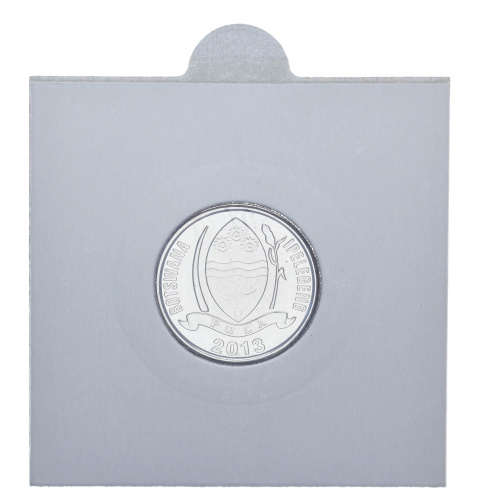 фото Ботсвана 10 тхебе 2013 UNC Козел