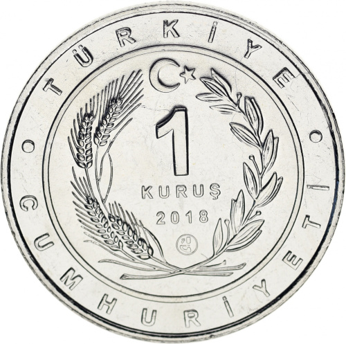 фото Турция 1 куруш 2018 UNC «Птицы Турции - Дрофа»