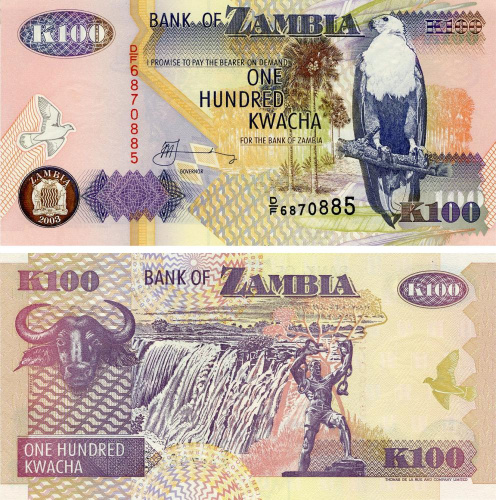 фото Замбия 100 квача 2003 UNC Буйвол (P38d)